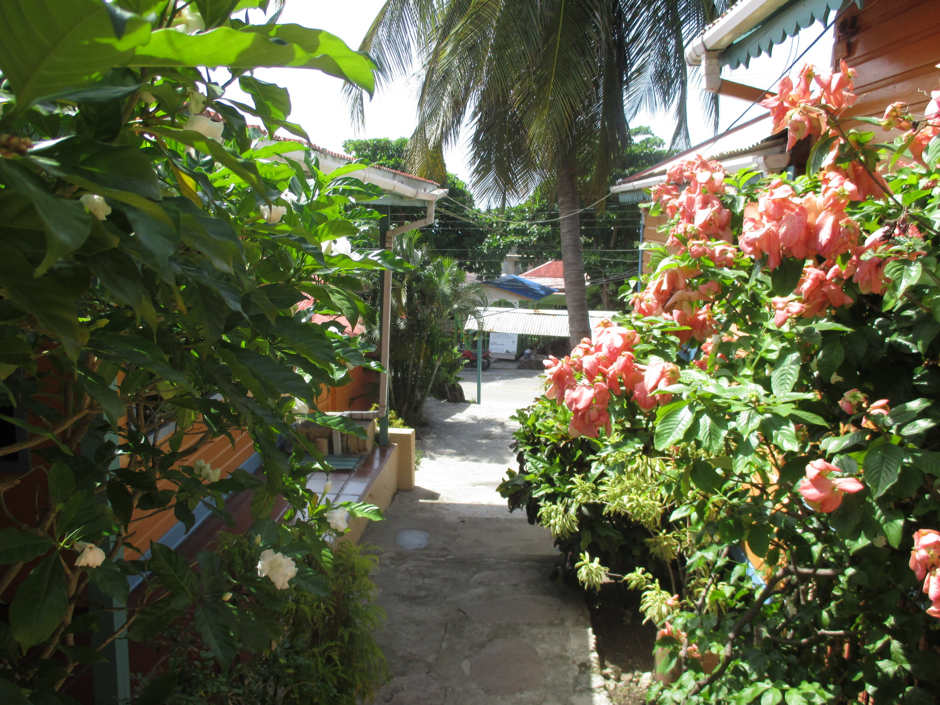 Vista Exterior Hotel Flemming Tree
