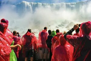 Passeio - Cataratas do Niágara à Noite - Tour de Dia Inteiro