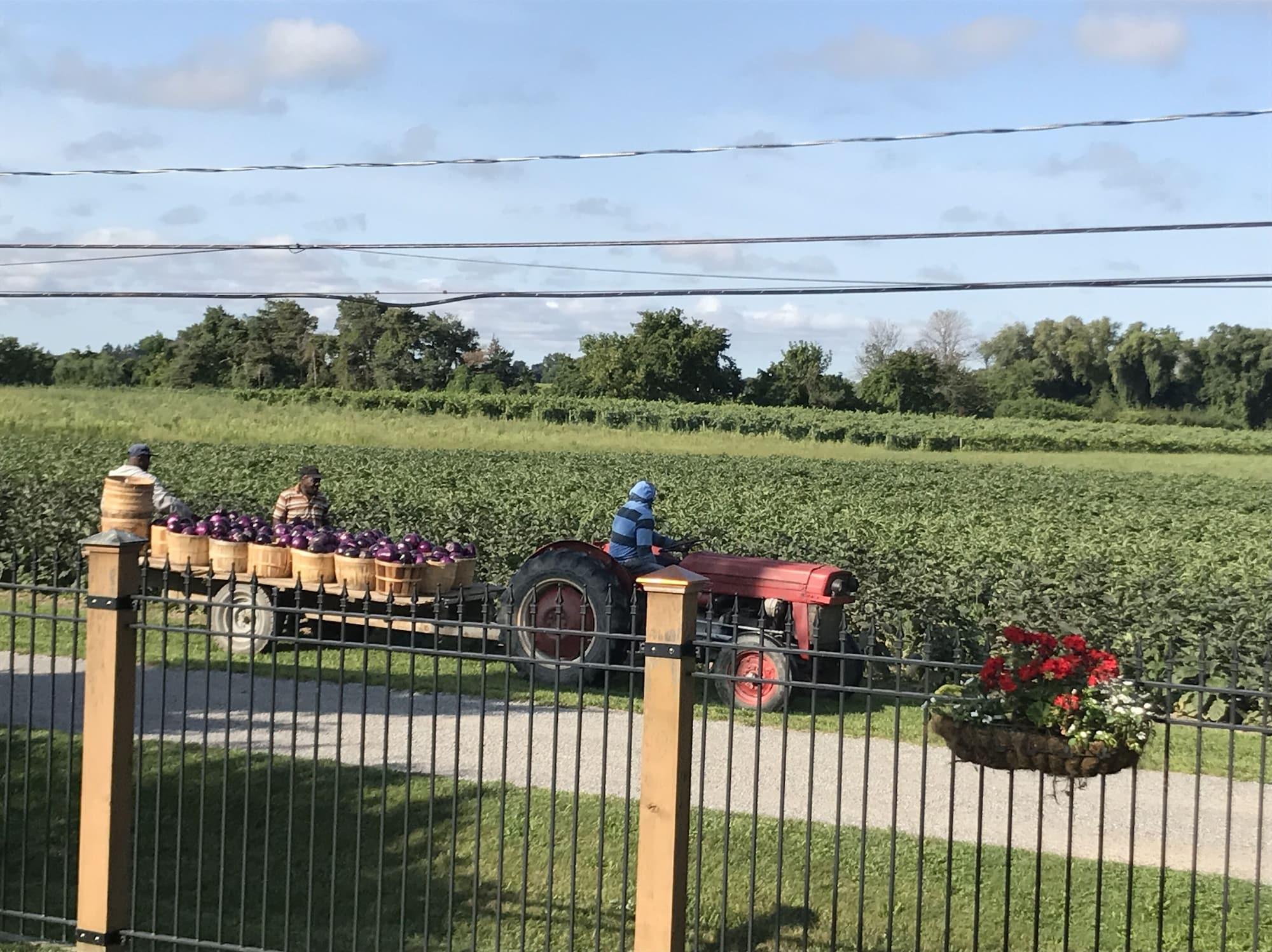 Vista Exterior Dicksons Family Suite B&B