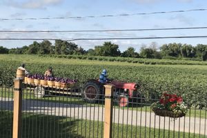 Alojamiento - Dicksons Family Suite B&B