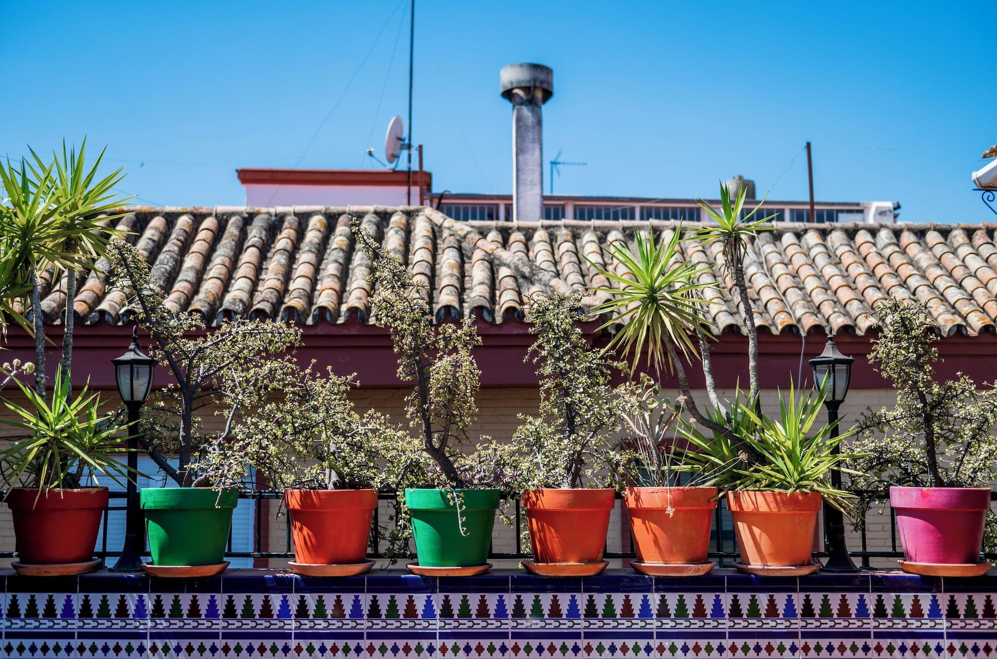 Varios Triana Backpackers