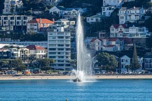 Alojamiento - InterContinental Wellington by IHG