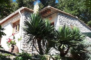 Alquiler Vacacional - Detached cottage on property with private Jacuzzi and shared pool