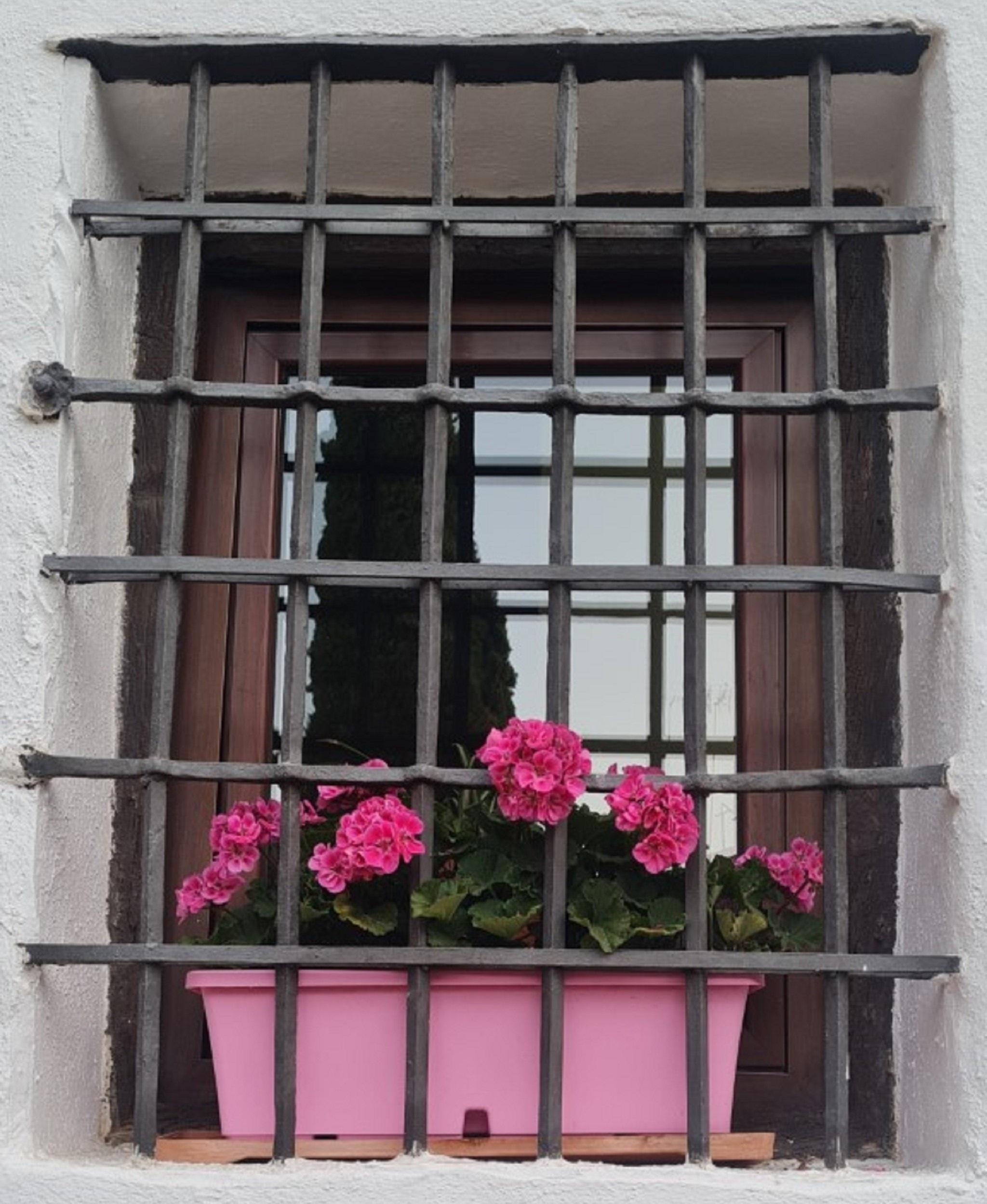 Vista Exterior Hotel Plateros