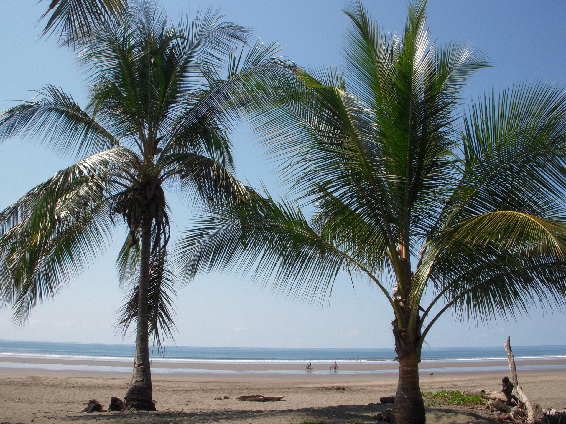 Playa Hotel Playa Bejuco