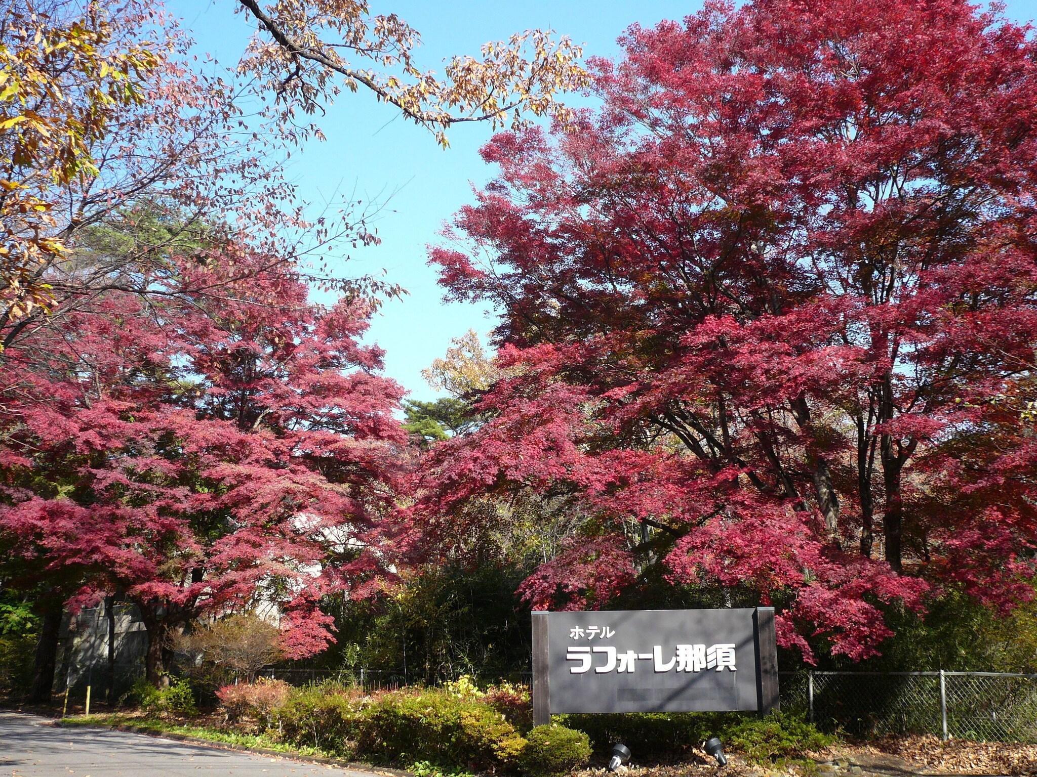 Vista Exterior Hotel Laforet Nasu