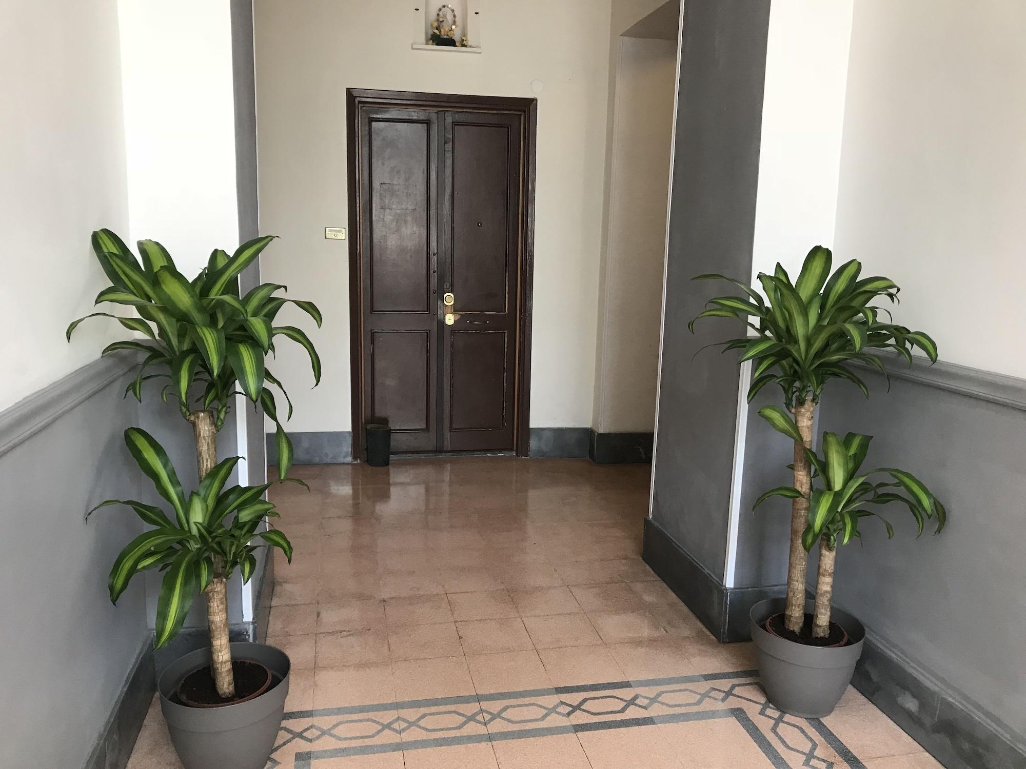 Vista Exterior Vatican City Holidays