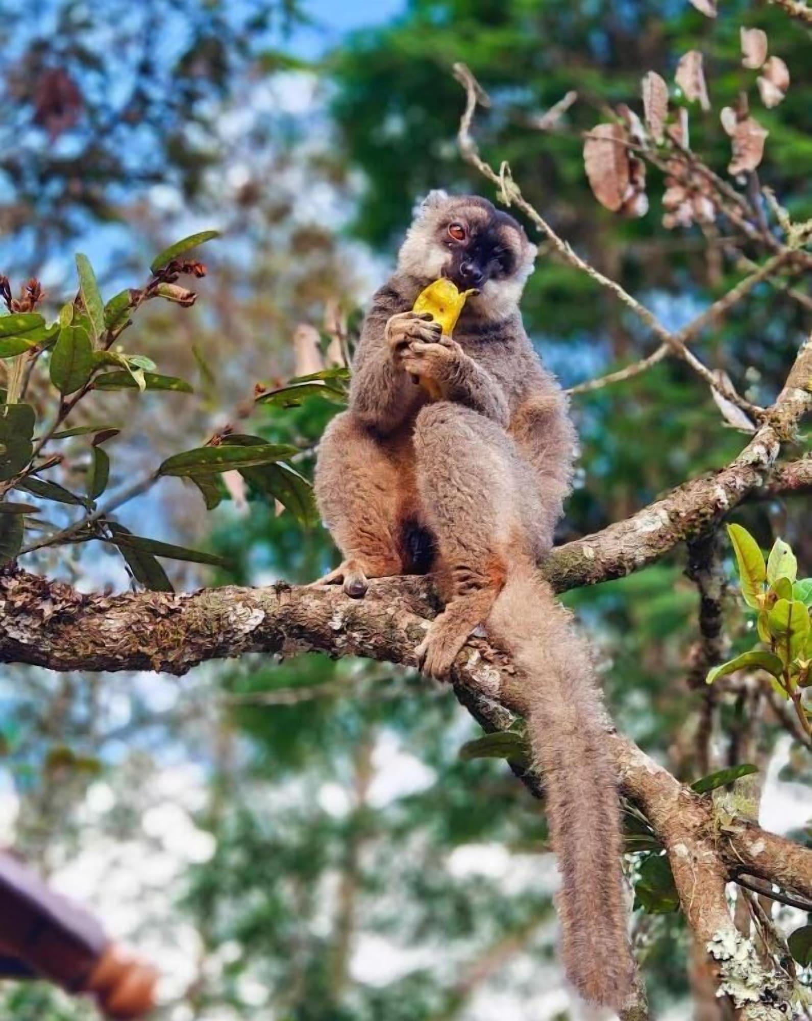 Vista Exterior Longoza Ecolodge