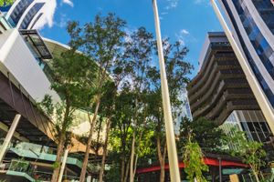 Actividad - Tour de compras por Asunción