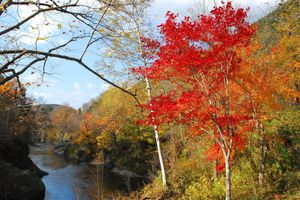 Alojamiento - Takinoue Hotel Keikoku