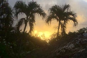 Alquiler Vacacional - Caribbean style self-contained villa / 1 bedroom / 2 persons