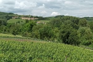 Alquiler Vacacional - Gite DE LA Nature