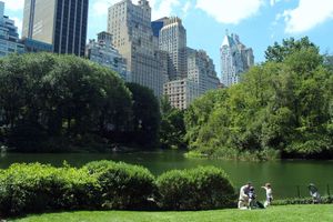Alquiler Vacacional - #1Area BEAUTIFUL LARGE SUNNY STUDIO! 5 blocks to CENTRAL PARK & MUSEUM MILE!