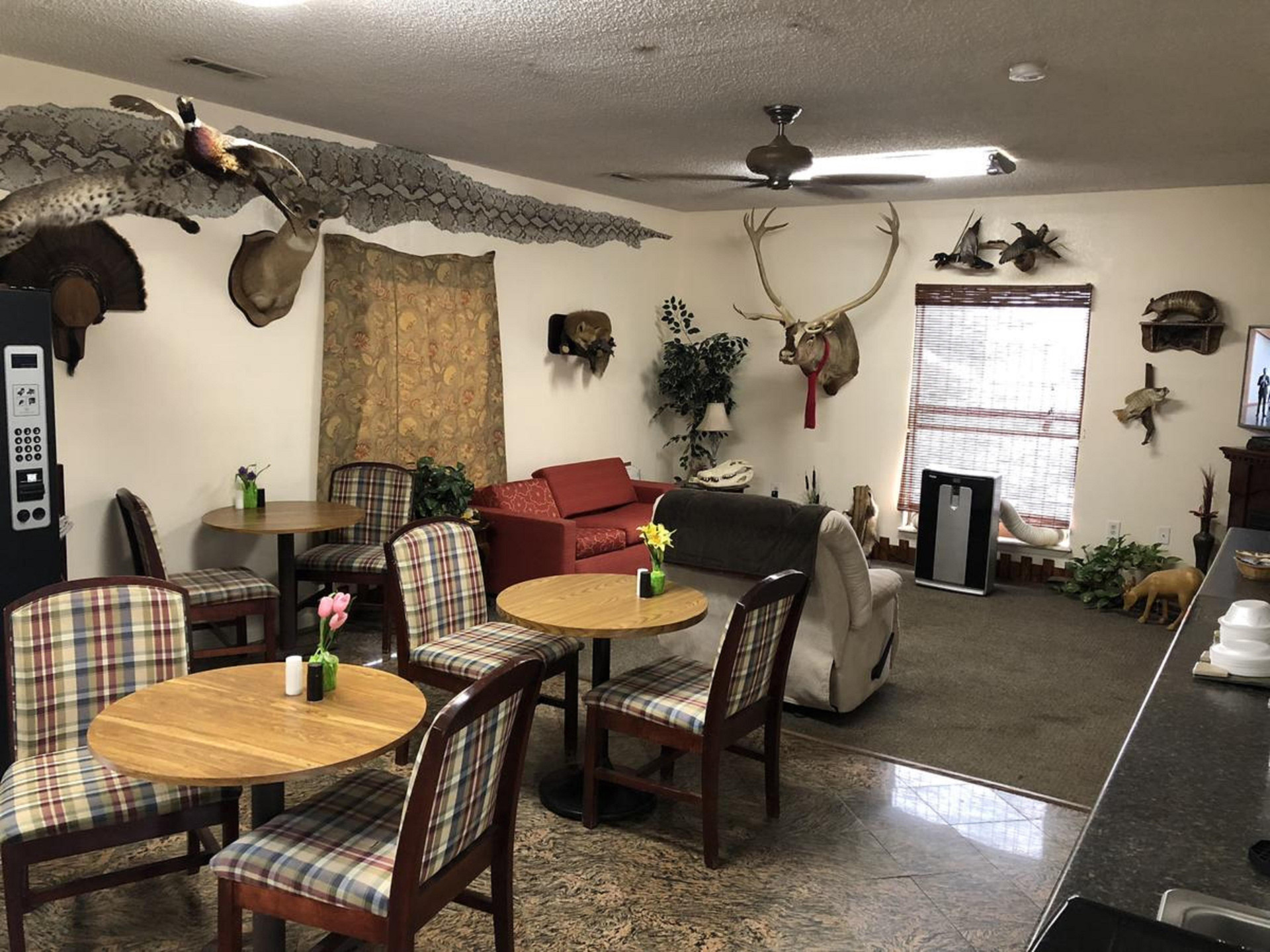 Vista Lobby Travel Inn Hazen