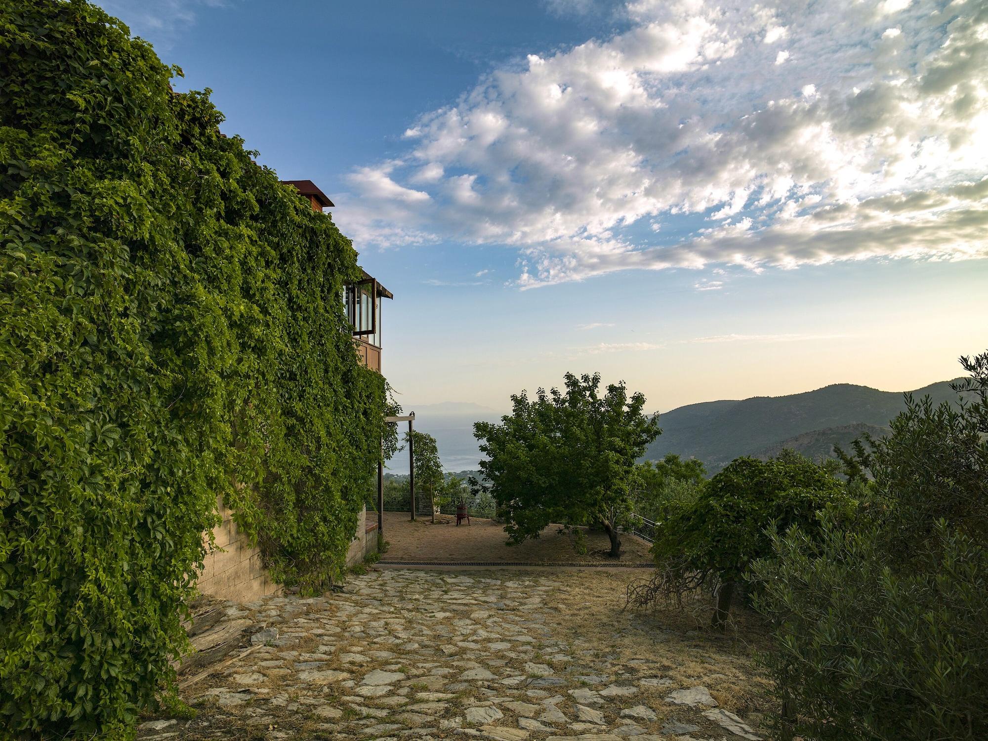 Vista Exterior Villa Vino