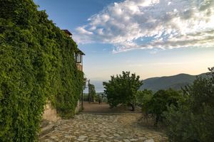 Alojamiento - Villa Vino