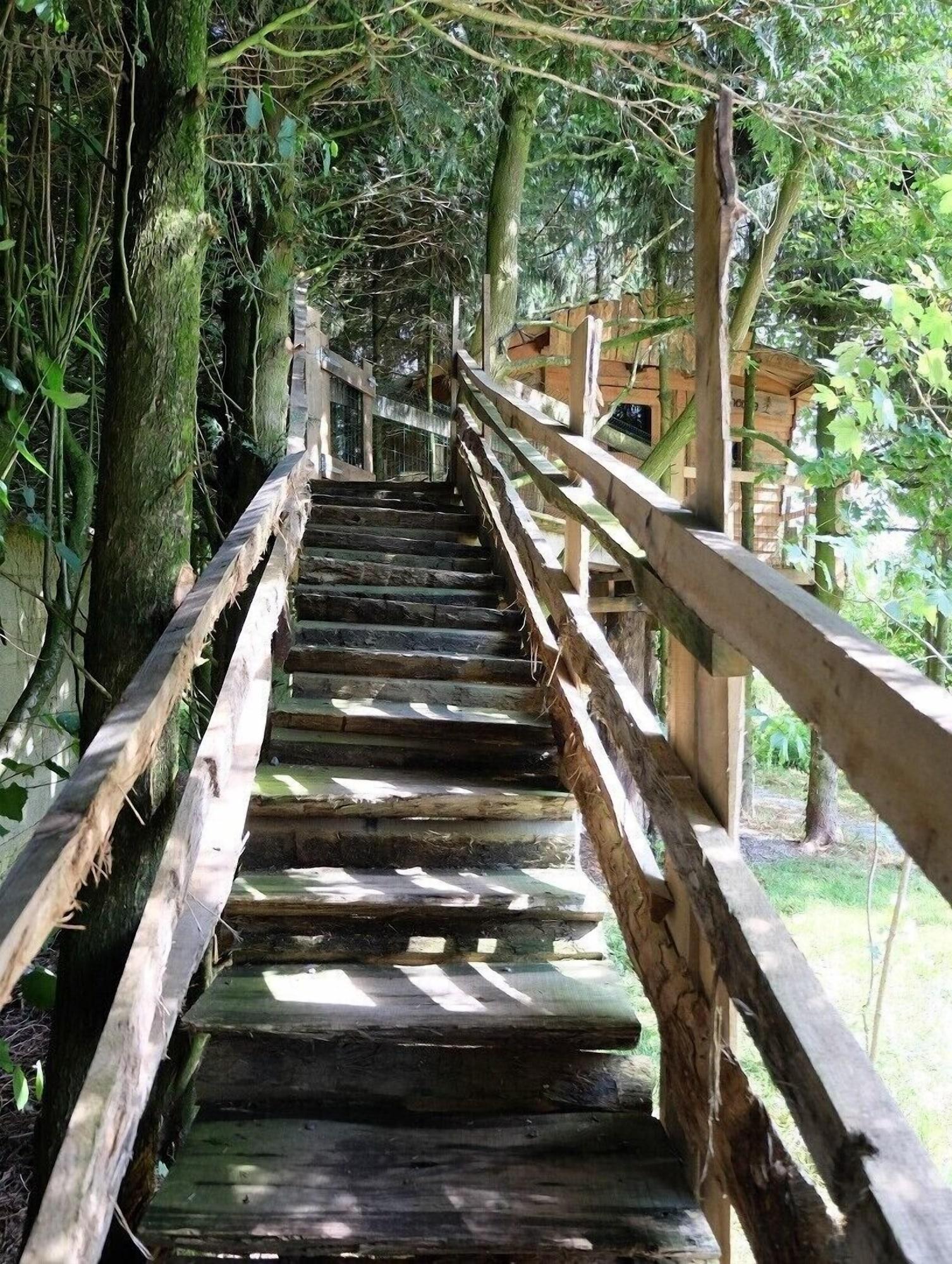 Varios Cabane dans les Arbres - Tree House