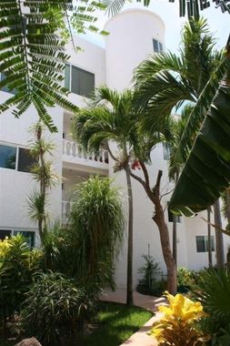 Affordable Luxury-Newly Renovated Beachfront Condo-Vacation Paradise - Hoteles con jacuzzi en Puerto Morelos, México