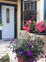 Alojamiento - Ellis House B&B, Niagara Falls