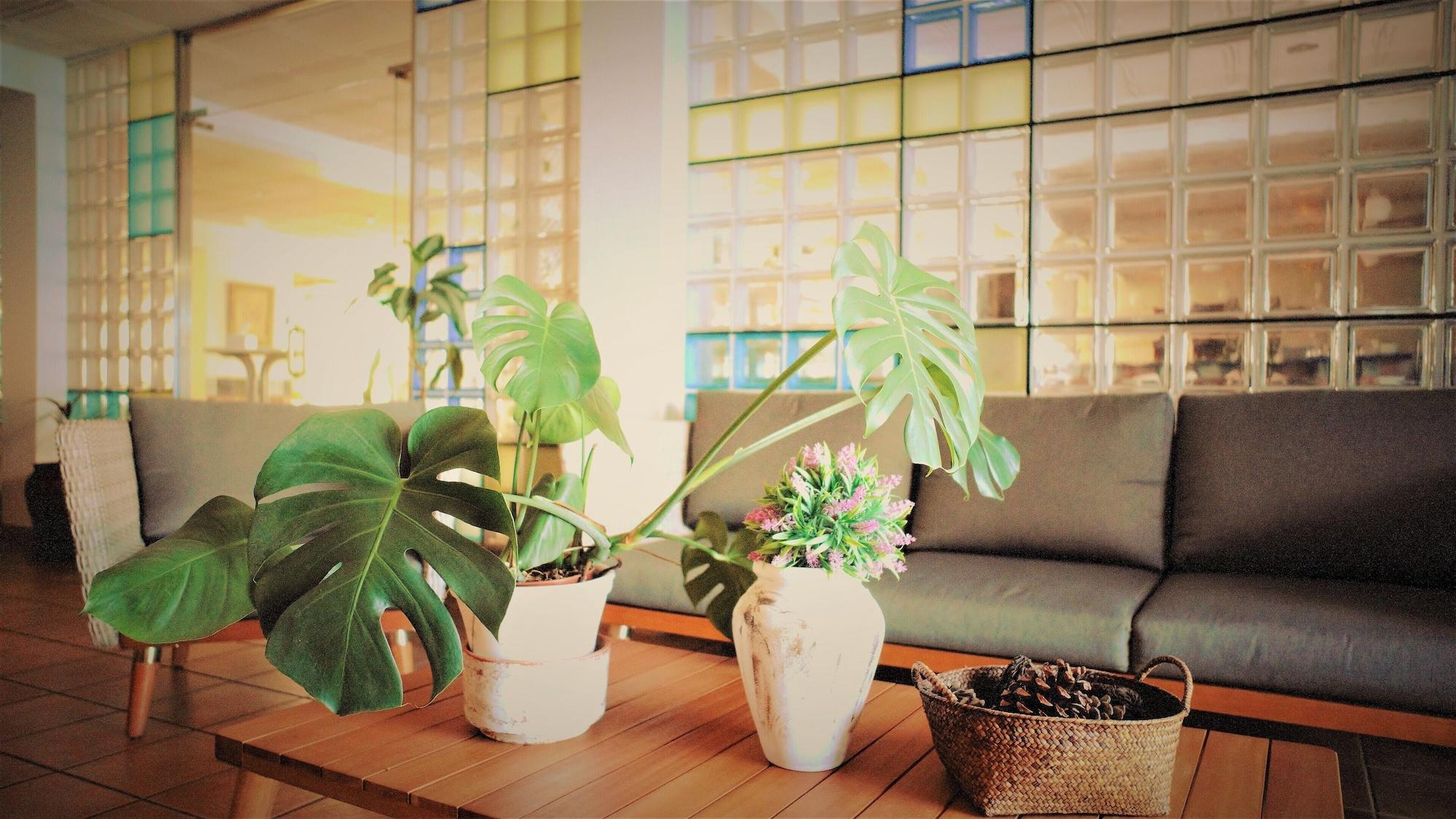 Vista Lobby Hotel Ayamontino