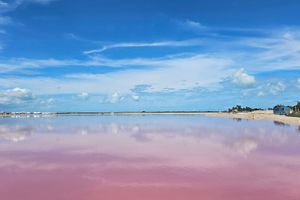 Actividad - Visita a las Coloradas y Rio Lagartos