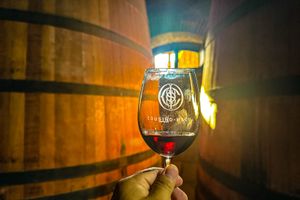 Actividad - Viñedo Cousiño Macul (Degustación + Traslado)