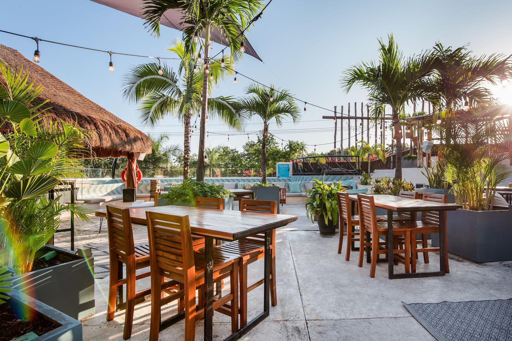 Varios Mayan Monkey Hotel Hostel Tulum