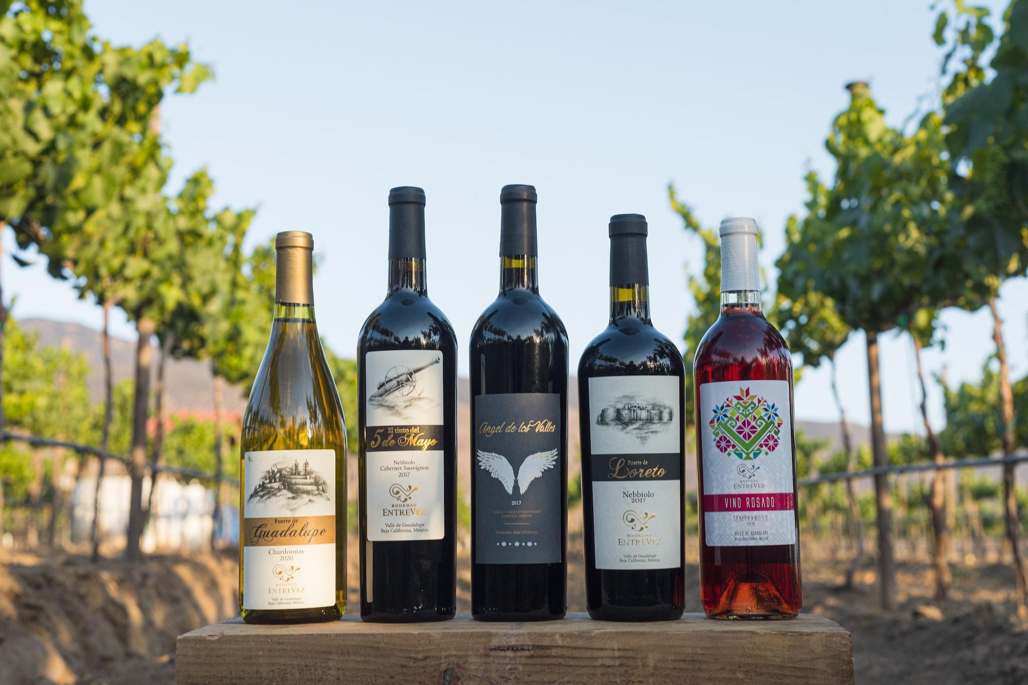 Instalaciones Recreativas Casa Entrevez