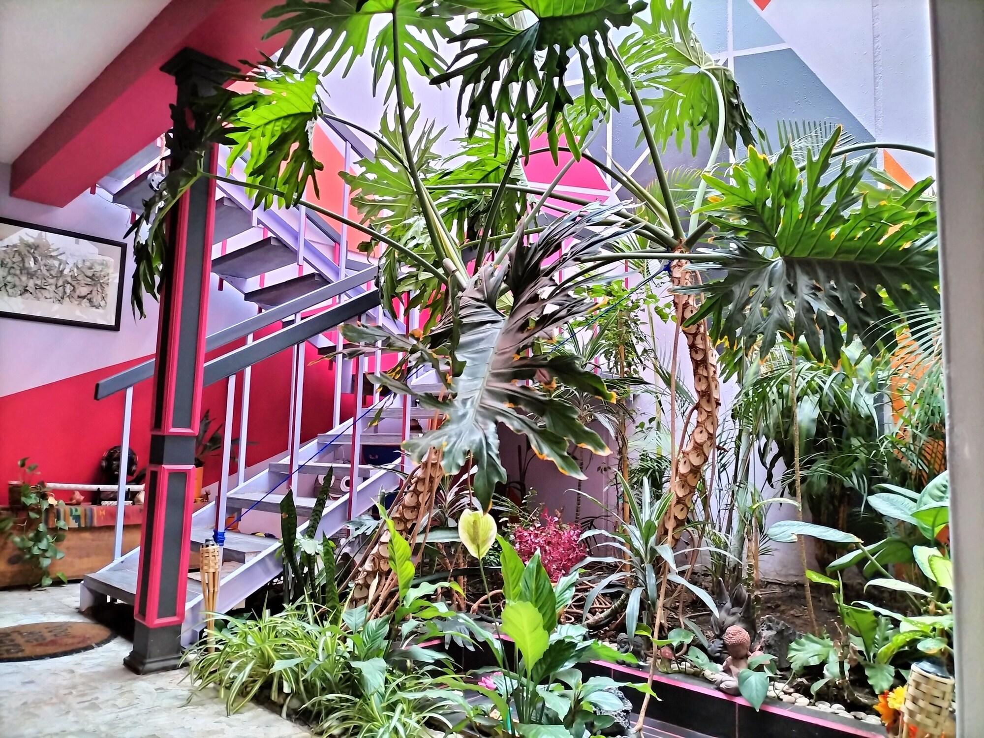 Varios Casa Maguey