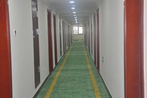 Alojamiento - Greentree Inn Linyi Feixian Jianshe Road Express H