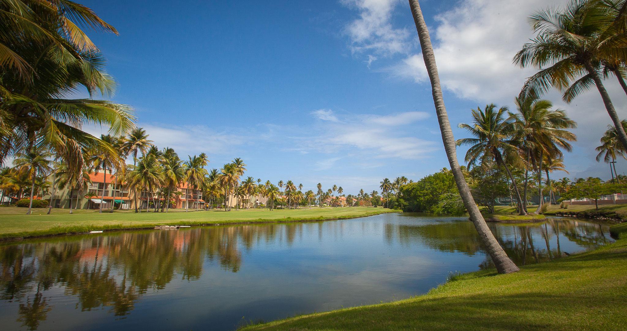 Campo de Golf Park Royal Homestay Club Cala Puerto Rico