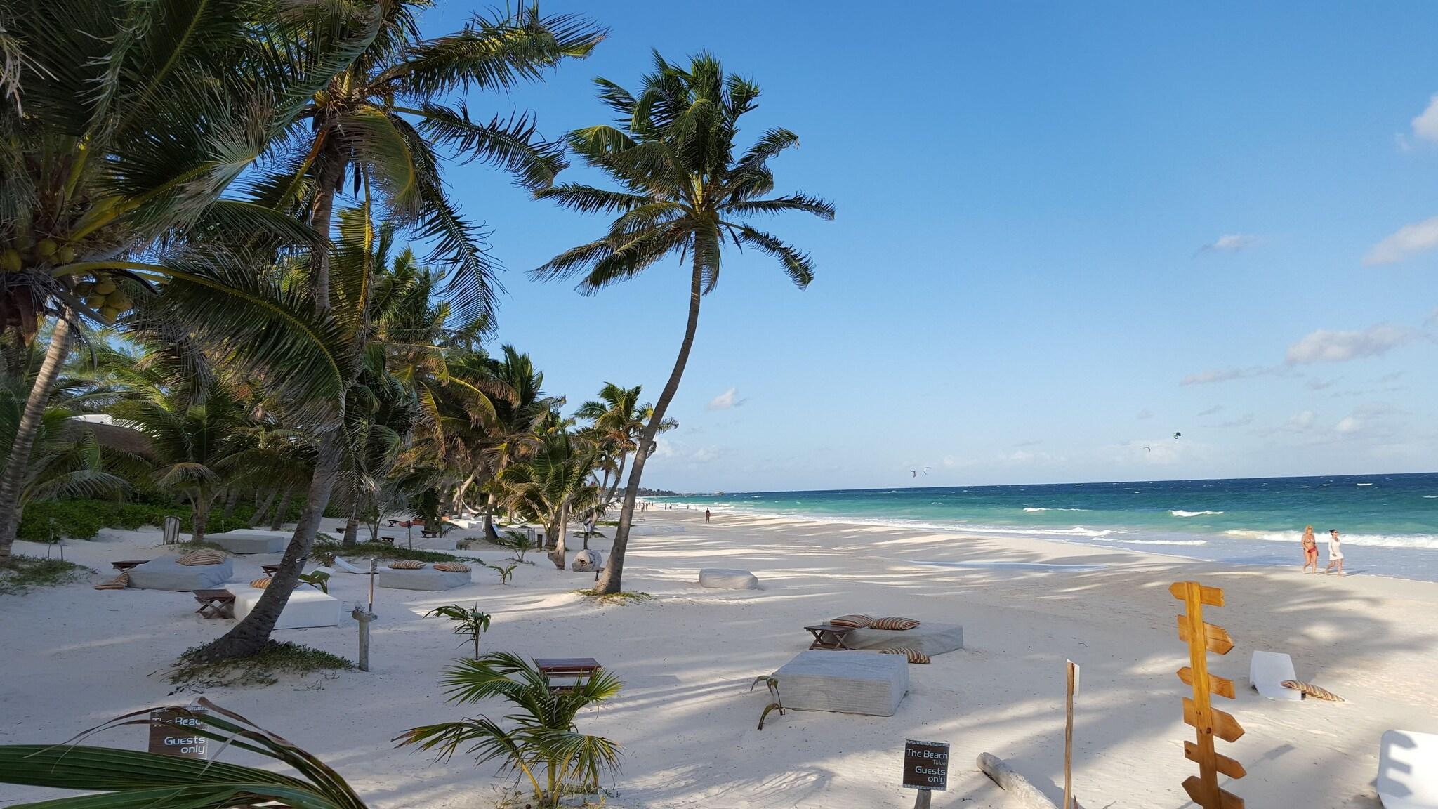 Playa The Beach Tulum