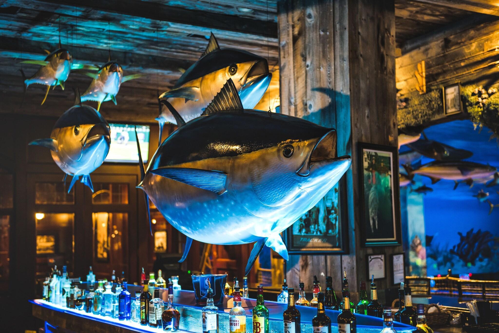 Bar/Salón Big Cypress Lodge