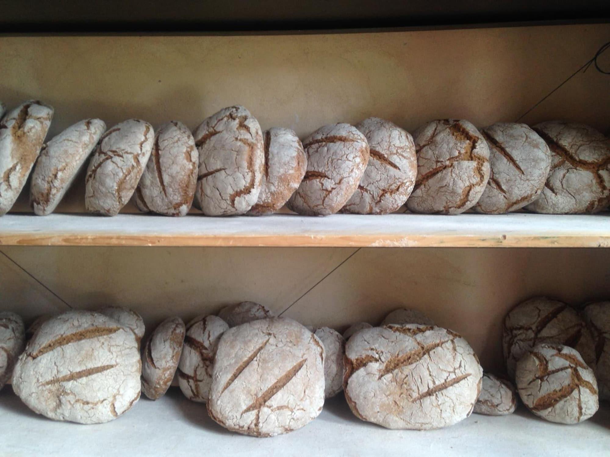 Restaurant Bioagriturismo Podere Pretoia