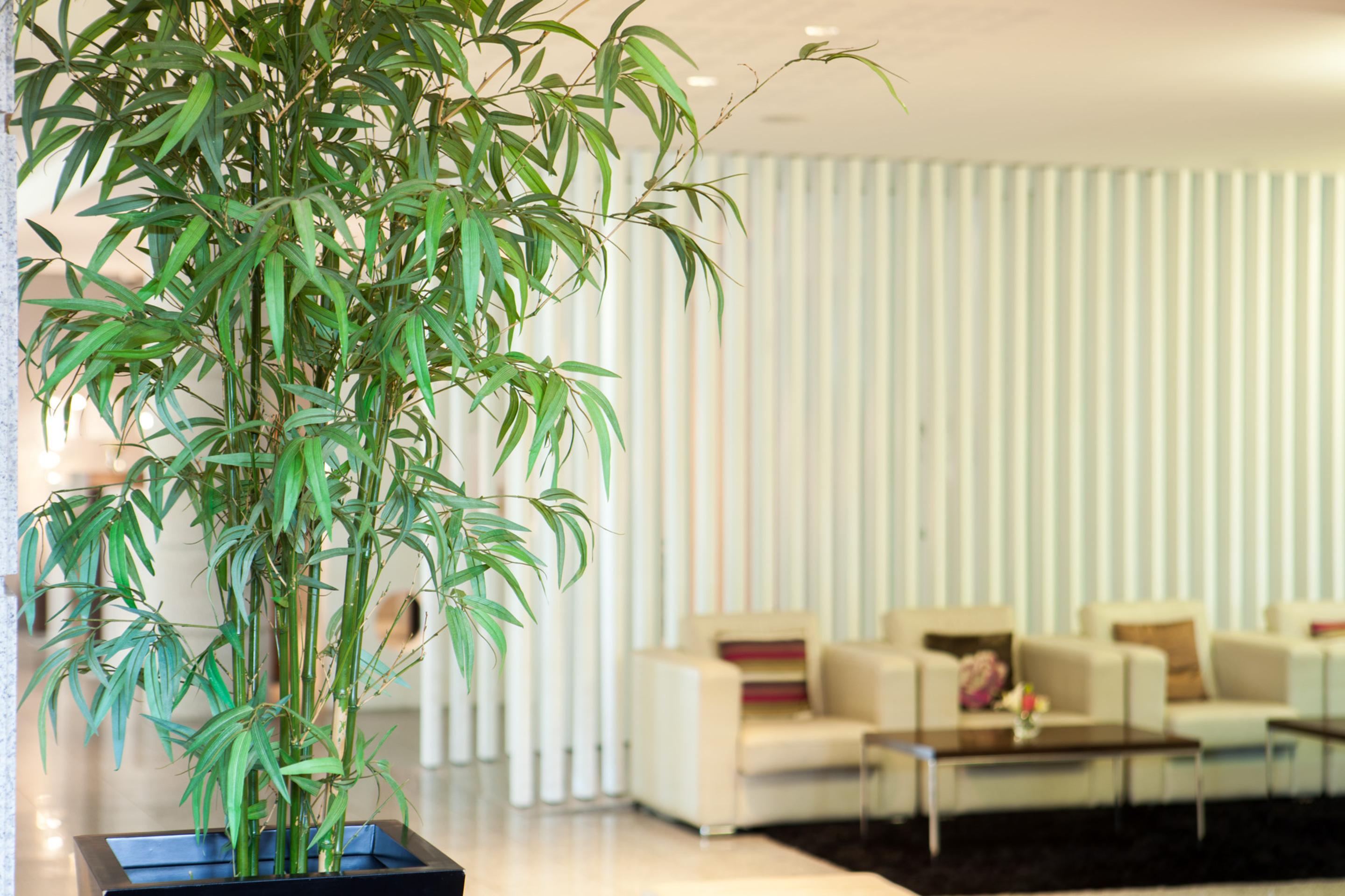 Vista Lobby Lux Fátima Park