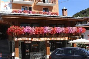 Alojamiento - Hotel Edelweiss