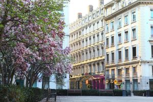 Alojamiento - Hôtel des Célestins