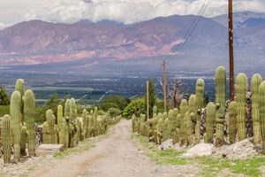 Actividad - Excursión a Tafí del Valle
