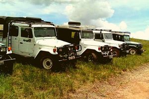 Actividad - Op 3. Ruta del Queso, Granja Capim Canastra...