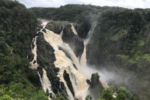 Actividad - Crucero y buceo, Kuranda Scenic Railway y Skyrail Rainforest Cableway – 2 días