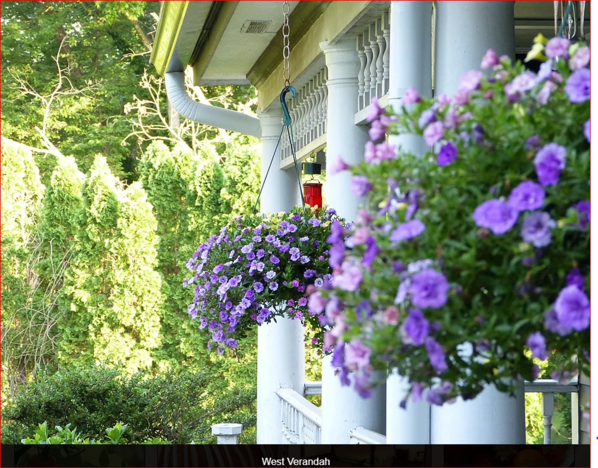 Varios Hogan House at Rose Hill B&B