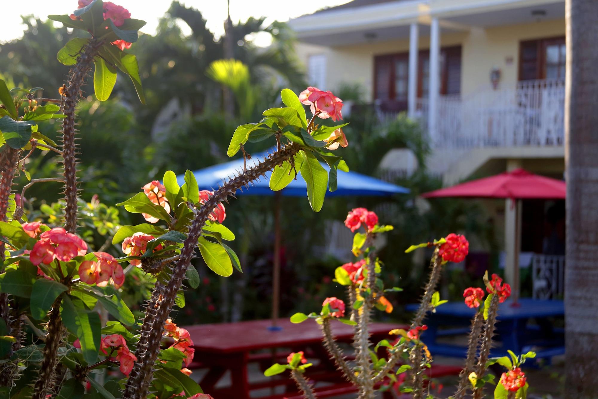 Vista Exterior Negril Palms