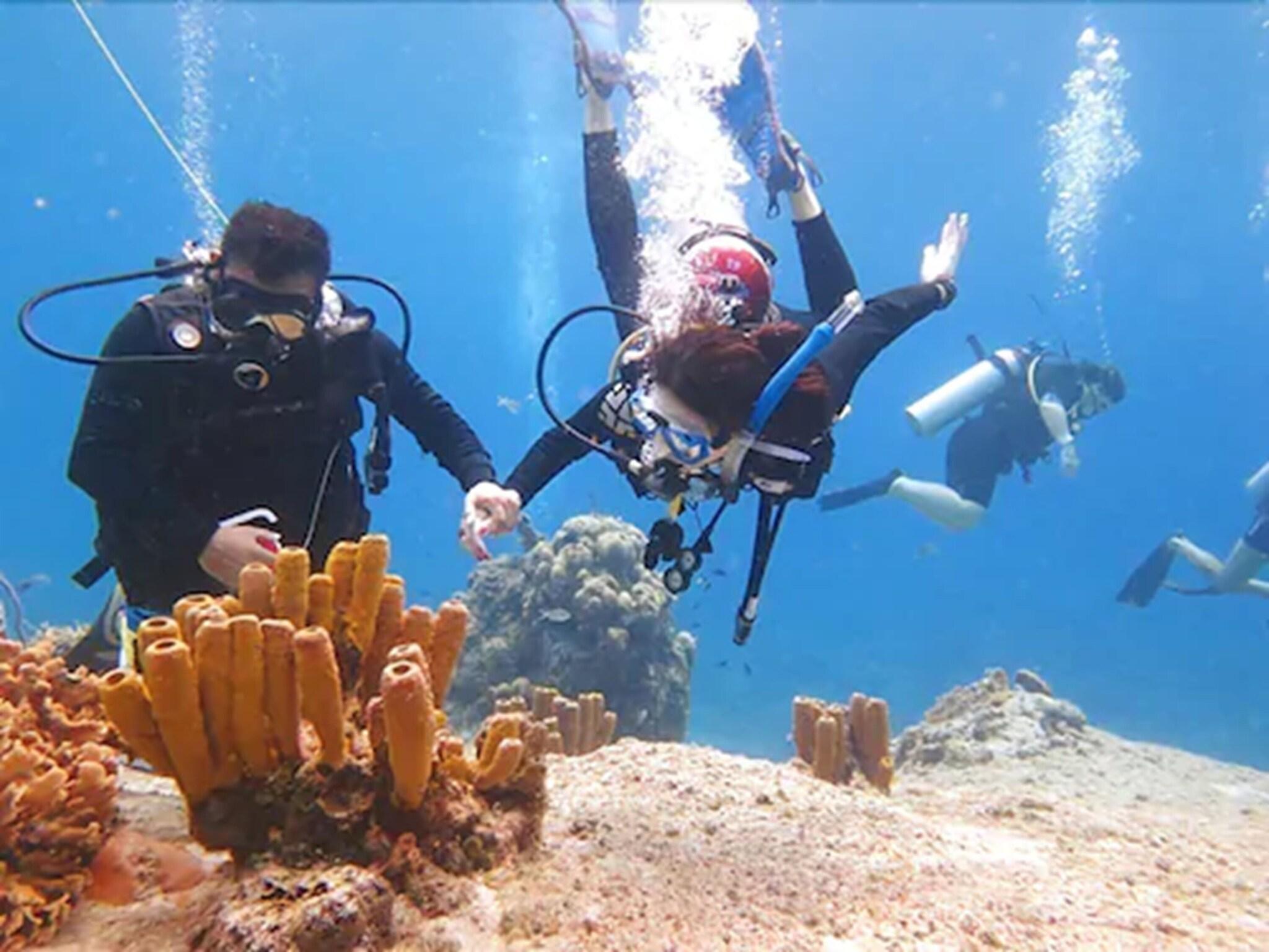 Gimnasio Blue Angel Resort