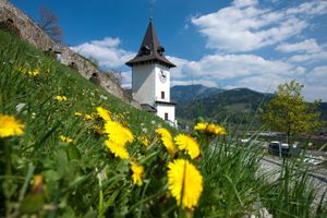 Alojamiento - Hotel Landskron