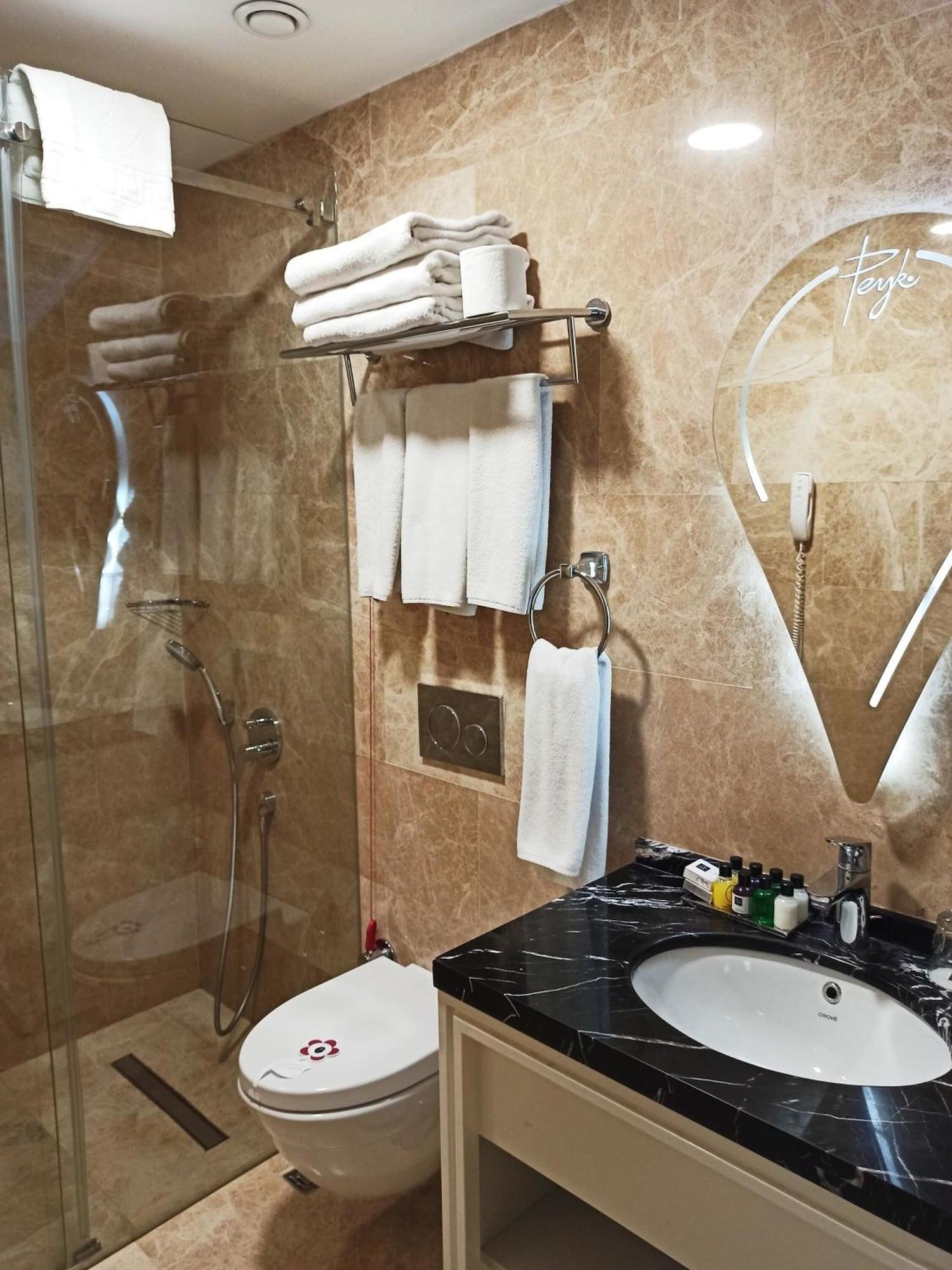 Equipamiento de Habitación Peyk Hotel Sultanahmet