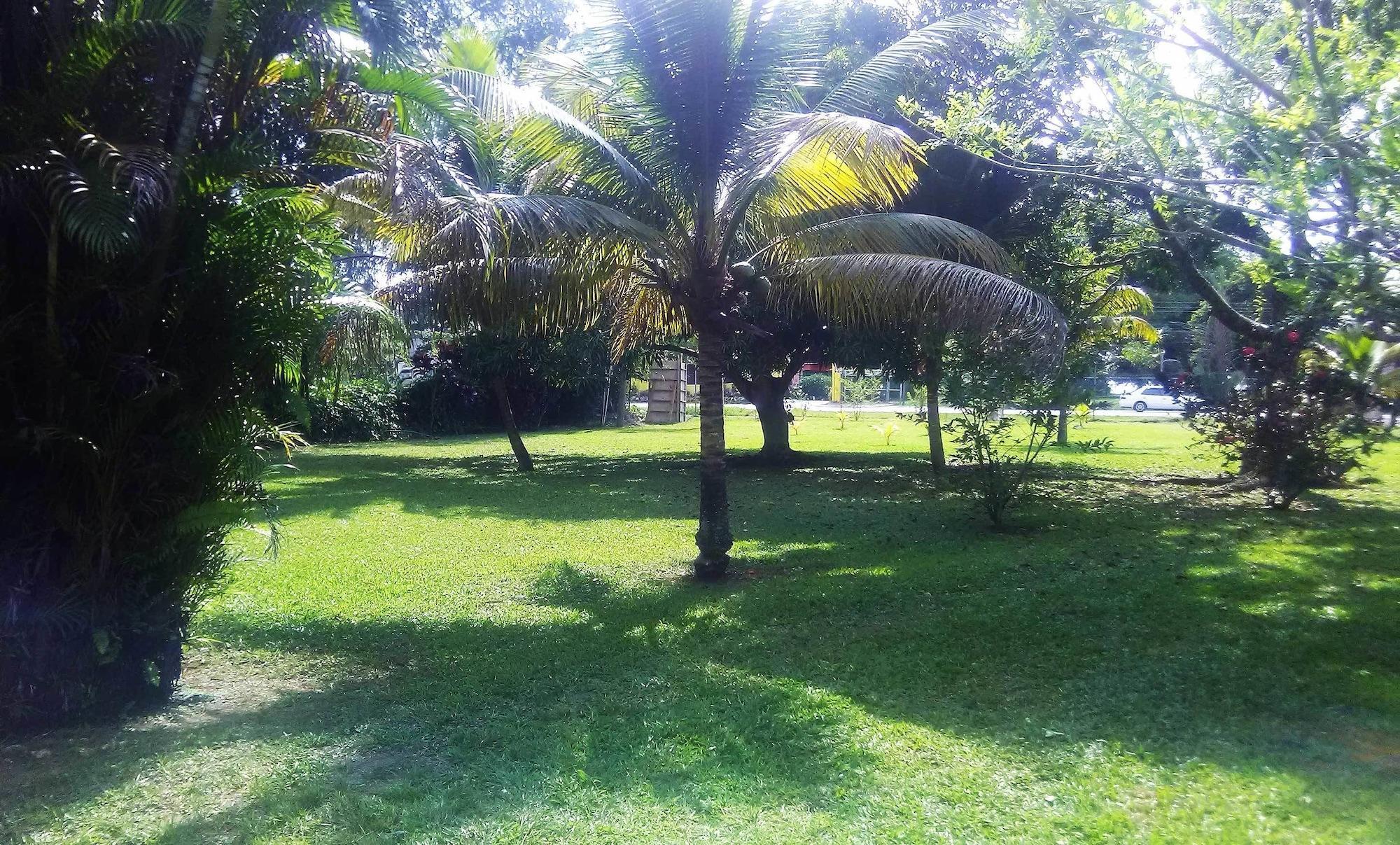 Instalaciones Recreativas Cozy Coco