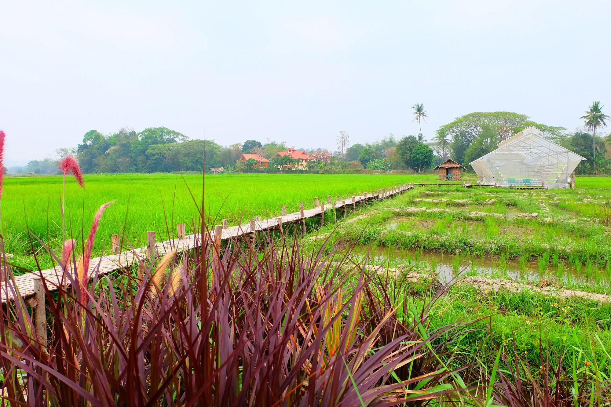 Comodidades del Alojamiento Nanee Maerim Lake View