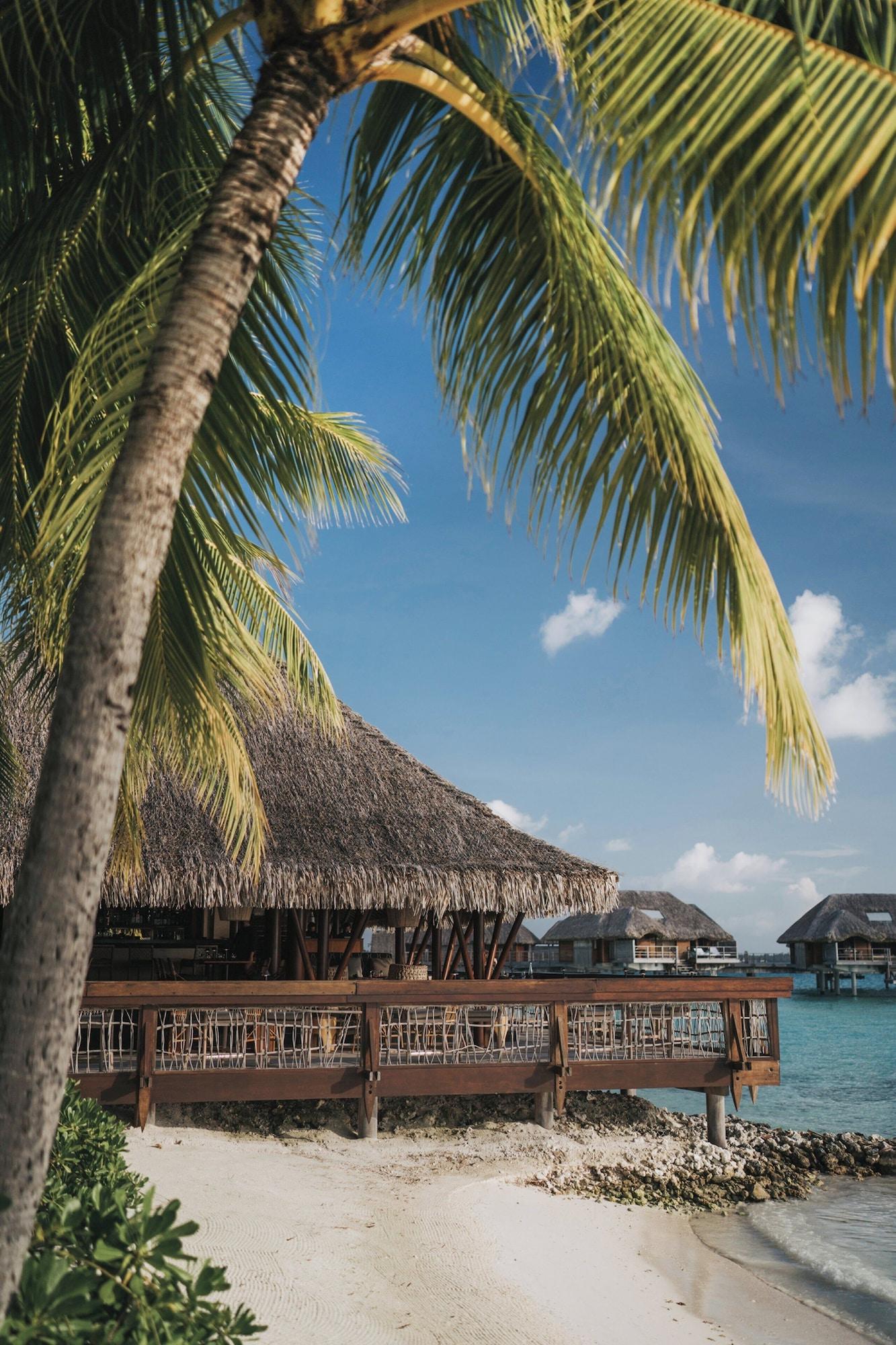 Restaurant Four Seasons Resort Bora Bora