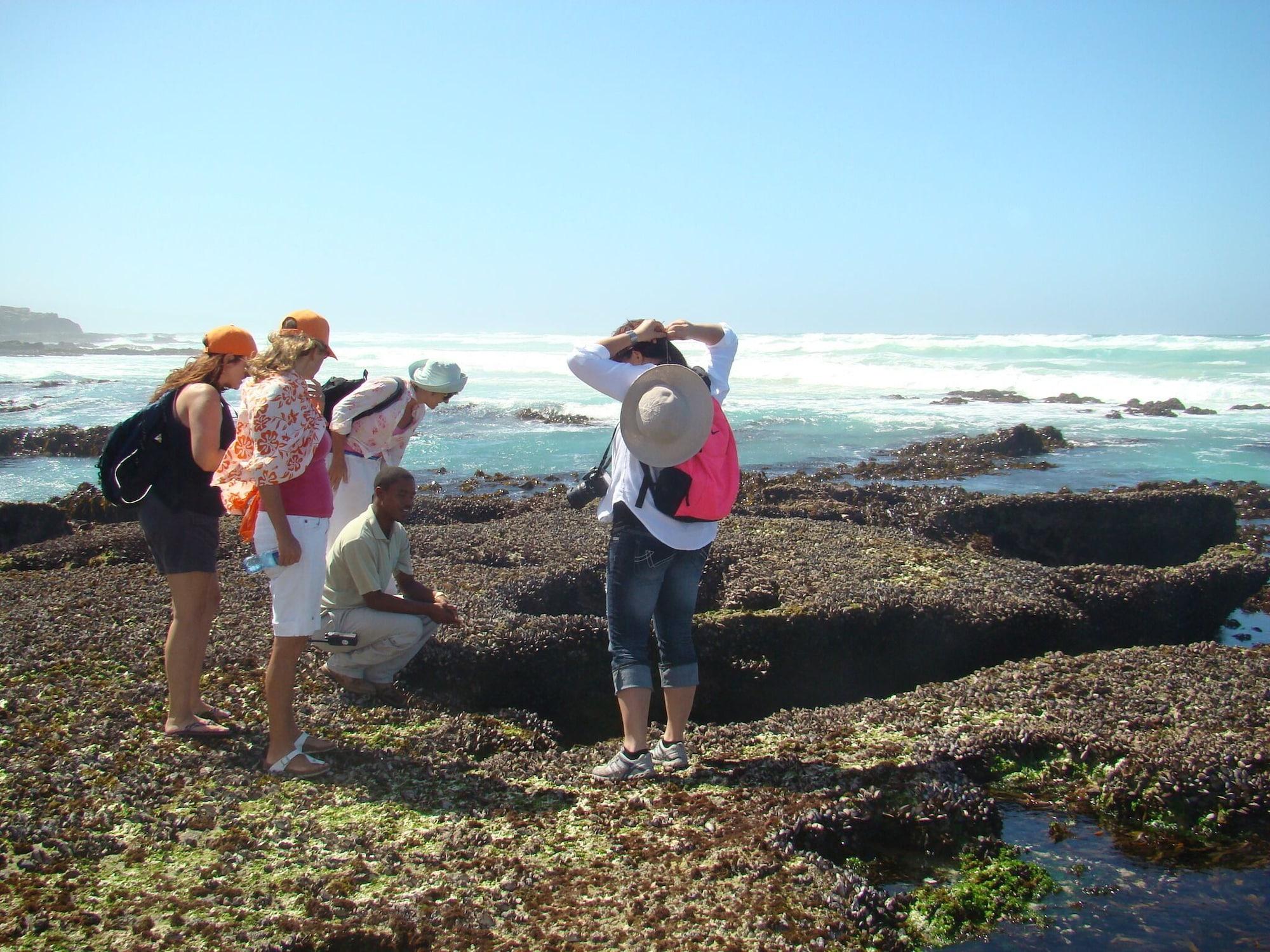 Playa De Hoop Opstal Houses