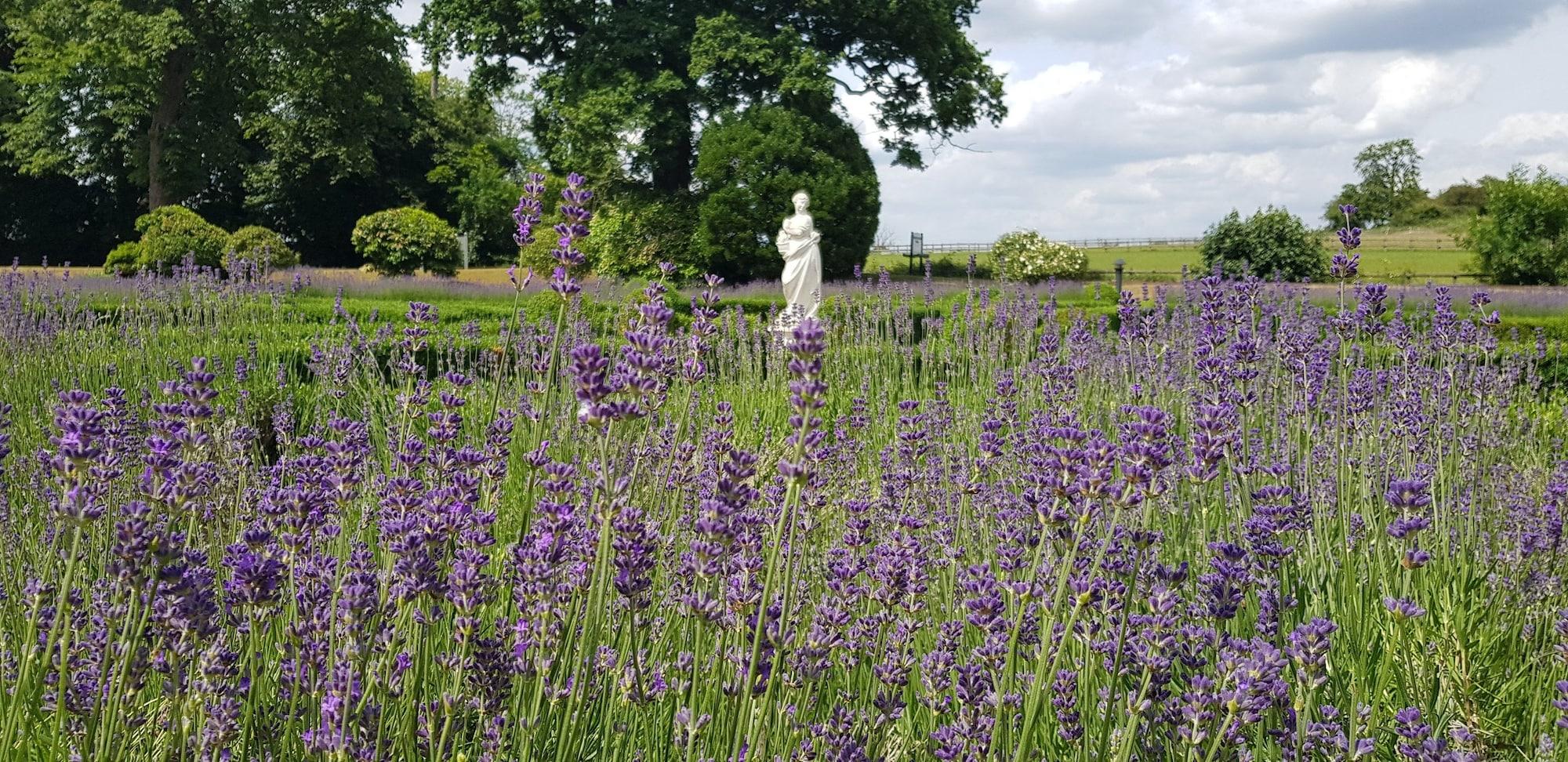 Vista Exterior Woodlands Park Hotel